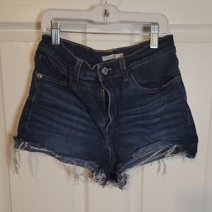 American Eagle Outfitters Navy Frayed Jean Shorts